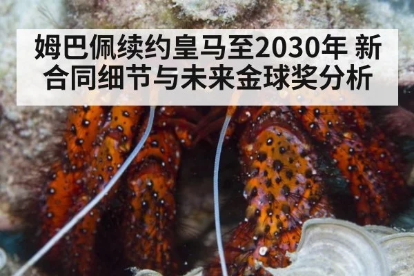 姆巴佩续约皇马至2030年 新合同细节与未来金球奖分析